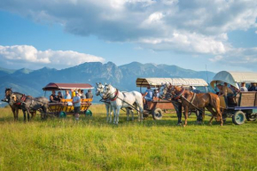 Willa u Perełki Zakopane